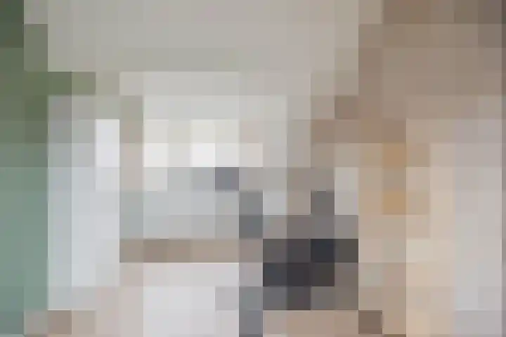 de Akker 48 Waddinxveen thumbnail 25