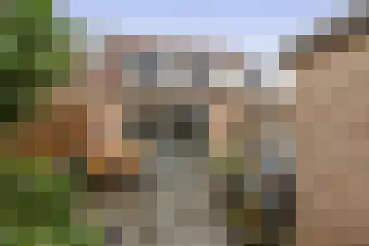 de Akker 48 Waddinxveen thumbnail 28
