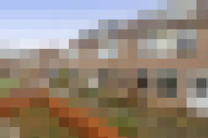 de Akker 48 Waddinxveen thumbnail 30