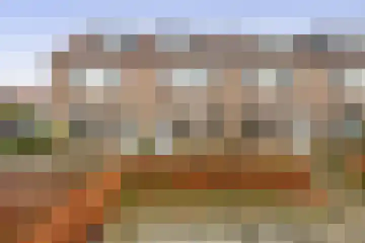 de Akker 48 Waddinxveen thumbnail 31