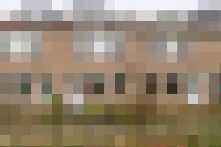 de Akker 48 Waddinxveen thumbnail 34