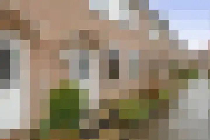 de Akker 48 Waddinxveen thumbnail 36