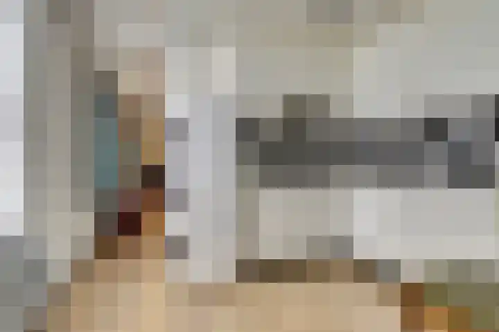 De Akker 50 Vlijmen thumbnail 15