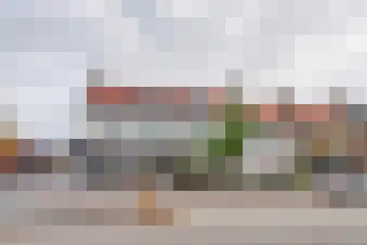 De Akker 50 Vlijmen foto 2