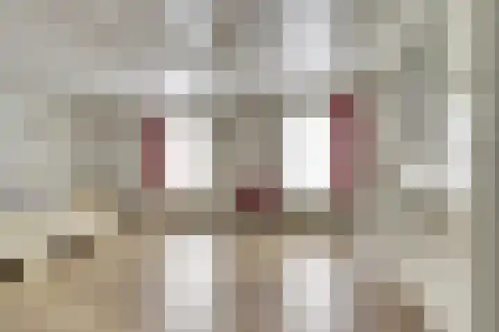 De Akker 50 Vlijmen thumbnail 22