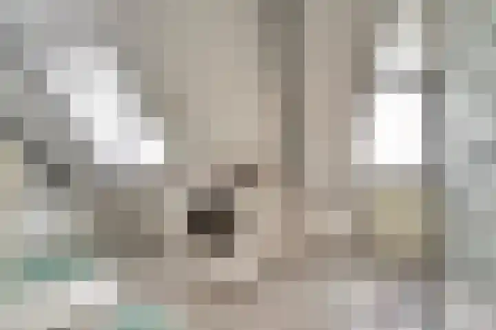 De Akker 50 Vlijmen thumbnail 27