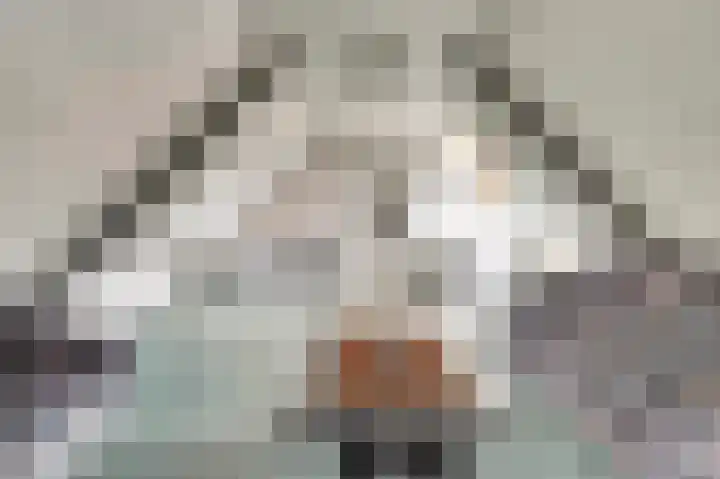 De Akker 50 Vlijmen thumbnail 29