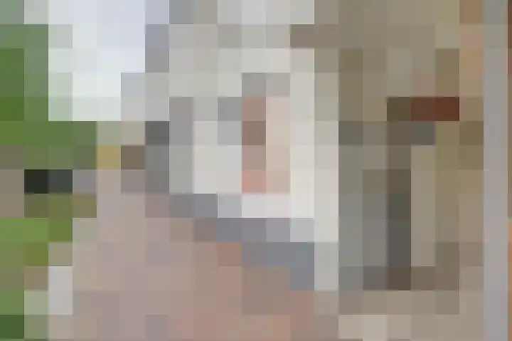 De Akker 50 Vlijmen foto 3