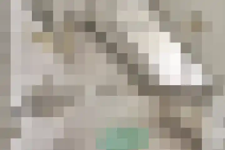 De Akker 50 Vlijmen thumbnail 31