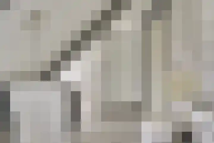 De Akker 50 Vlijmen thumbnail 33