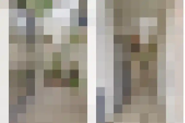 De Akker 50 Vlijmen thumbnail 36