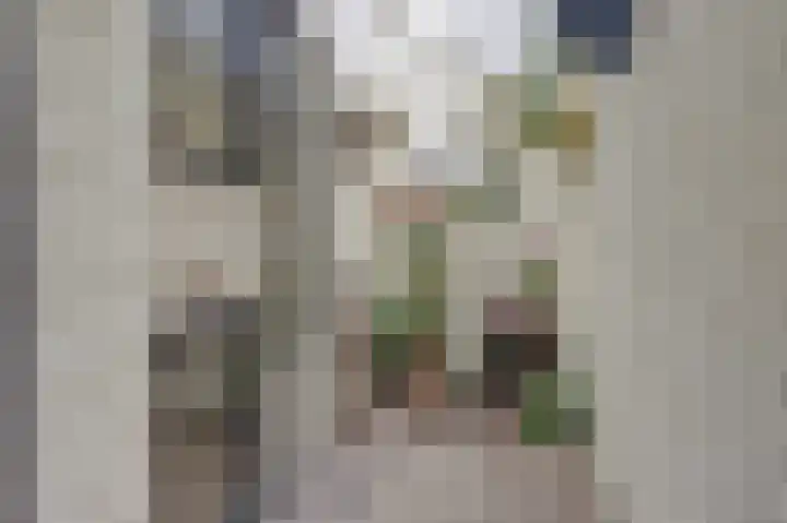 De Akker 50 Vlijmen thumbnail 4