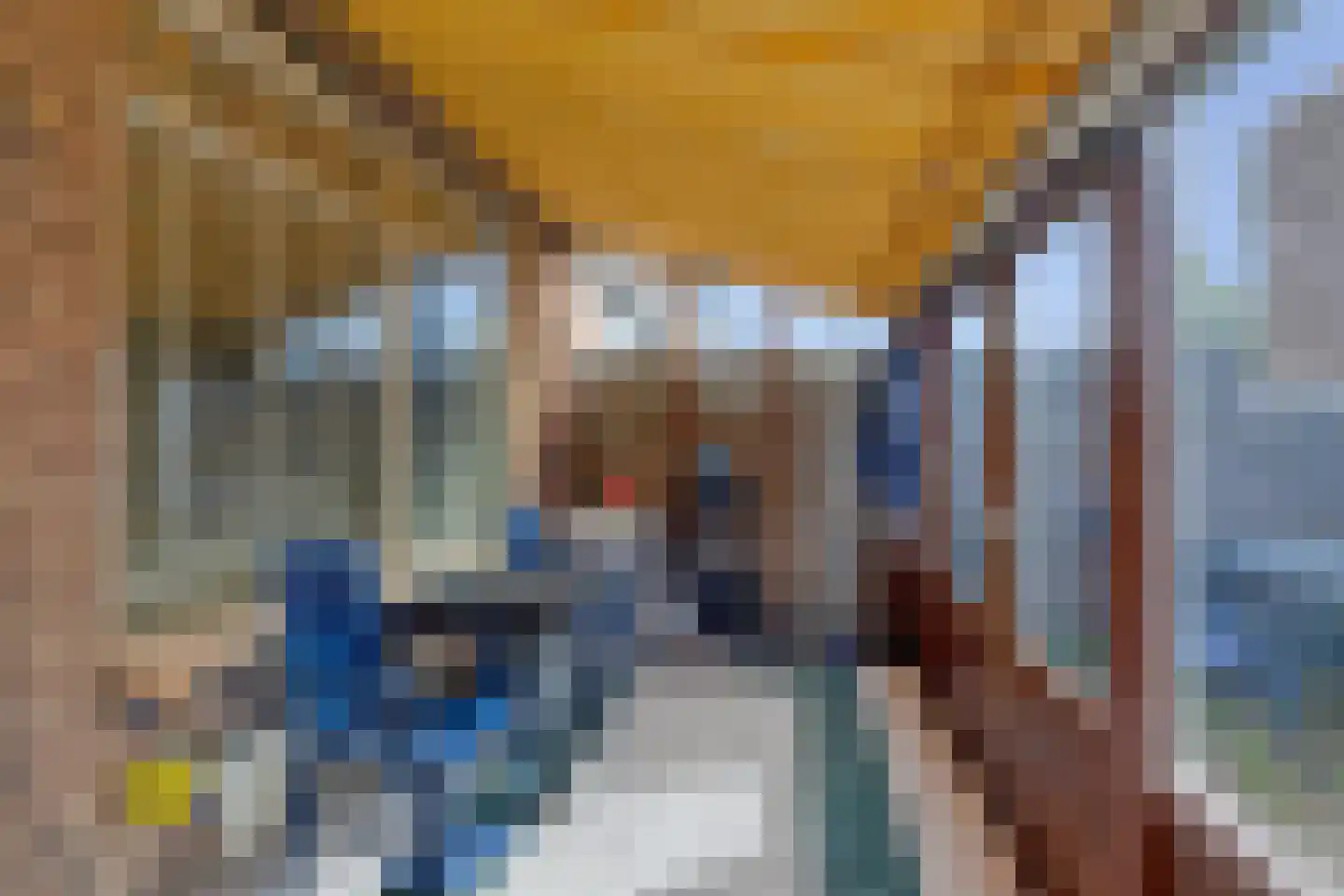 de Akker 56 Waddinxveen thumbnail 15