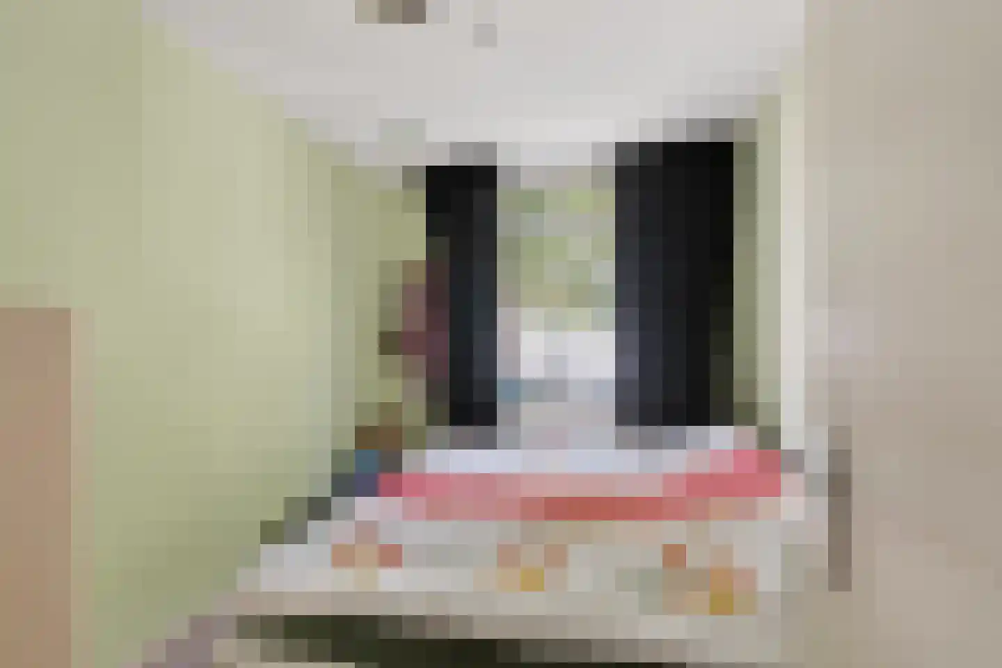 de Akker 56 Waddinxveen thumbnail 18