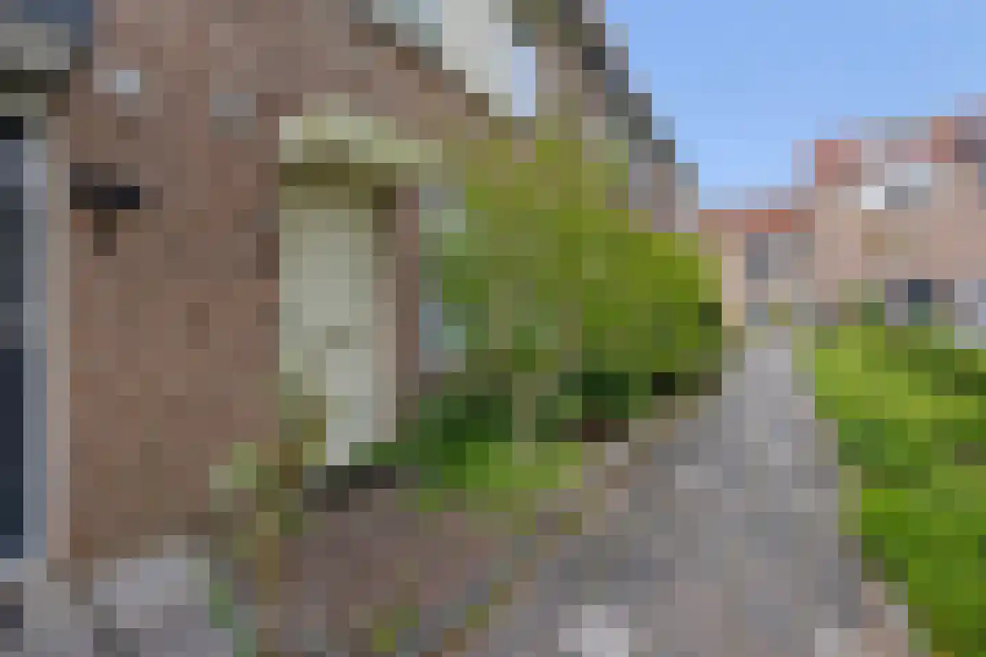 de Akker 56 Waddinxveen thumbnail 7