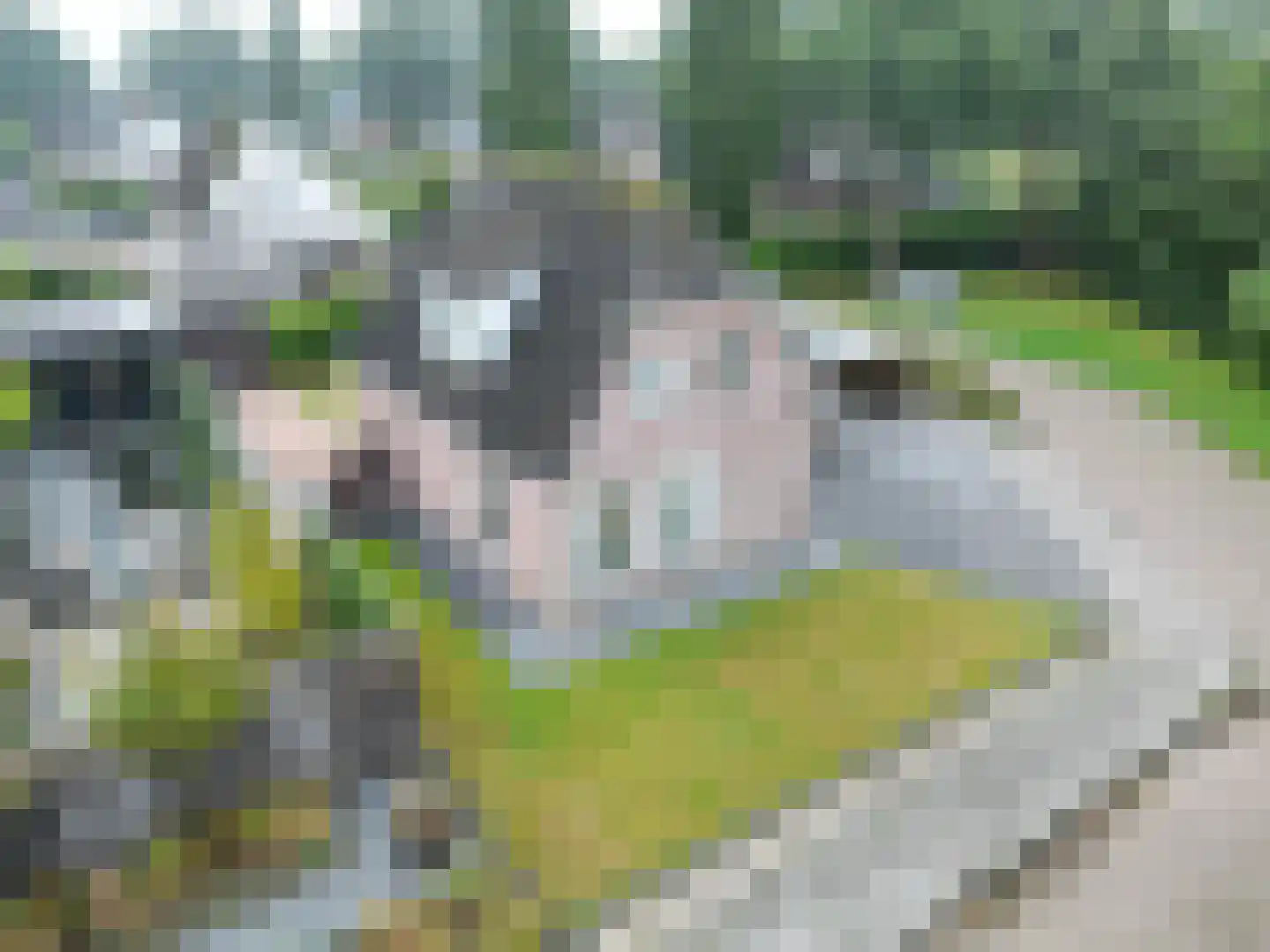 De Akker 6 Opende thumbnail 59