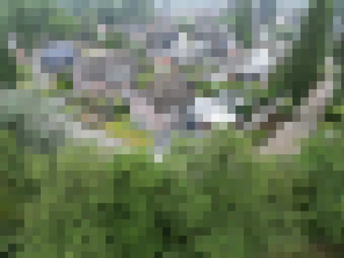 De Akker 6 Opende thumbnail 62