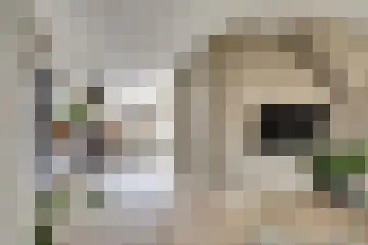 de Akker 60 Waddinxveen thumbnail 11