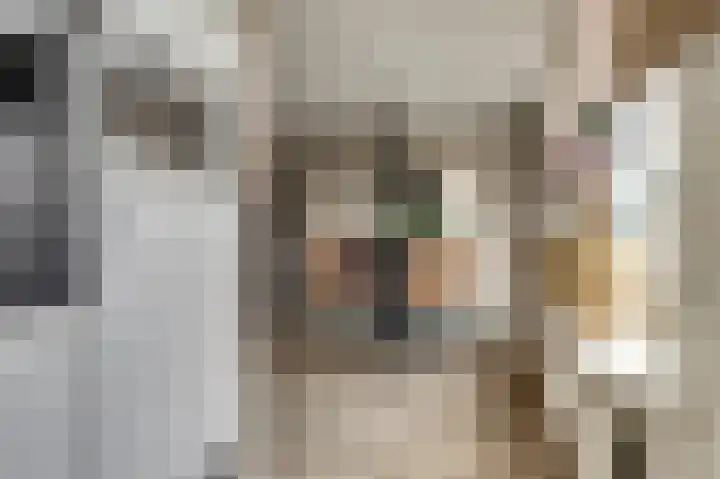 de Akker 60 Waddinxveen thumbnail 18