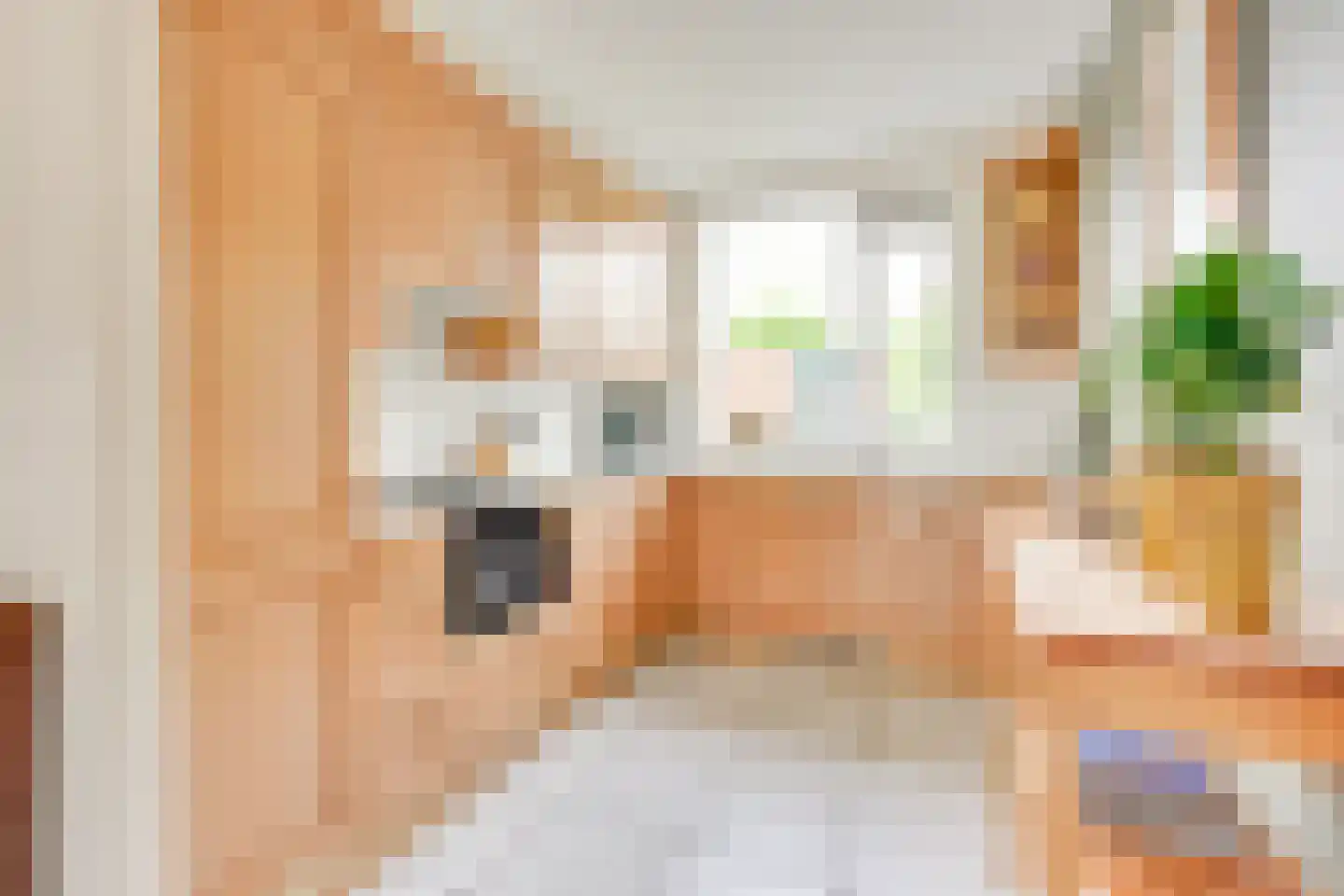 de Akker 65 Lopik thumbnail 16