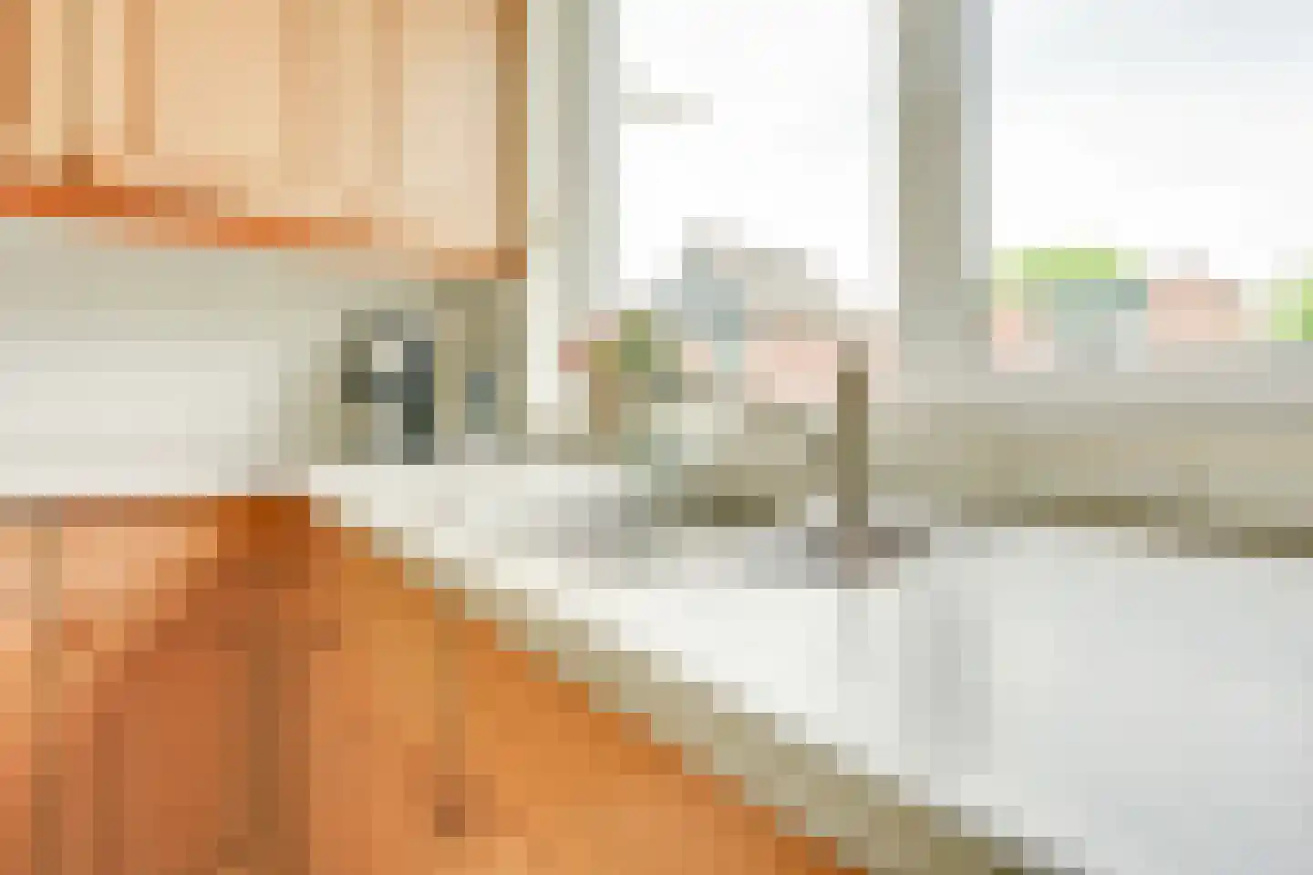 de Akker 65 Lopik thumbnail 20