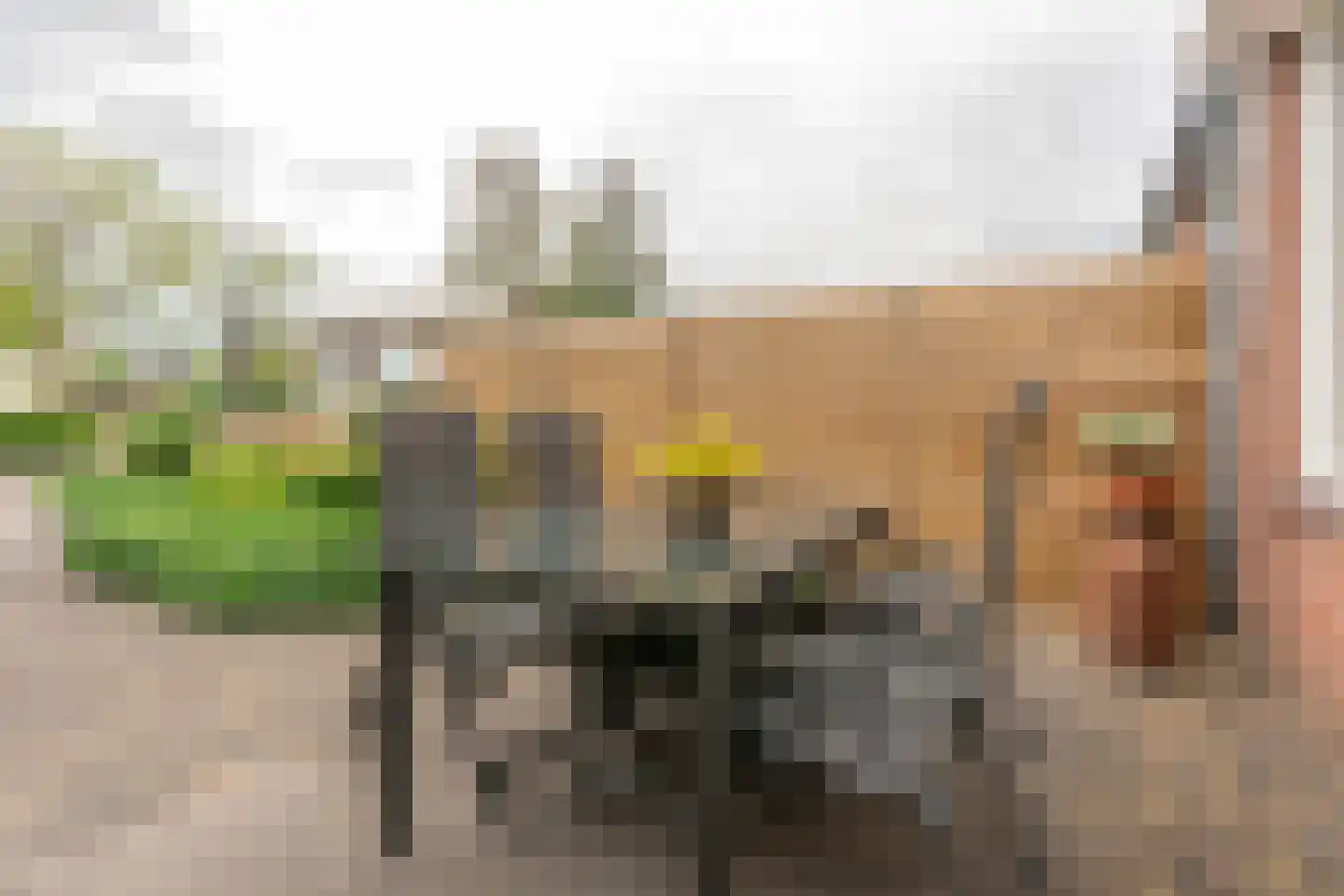de Akker 65 Lopik thumbnail 27