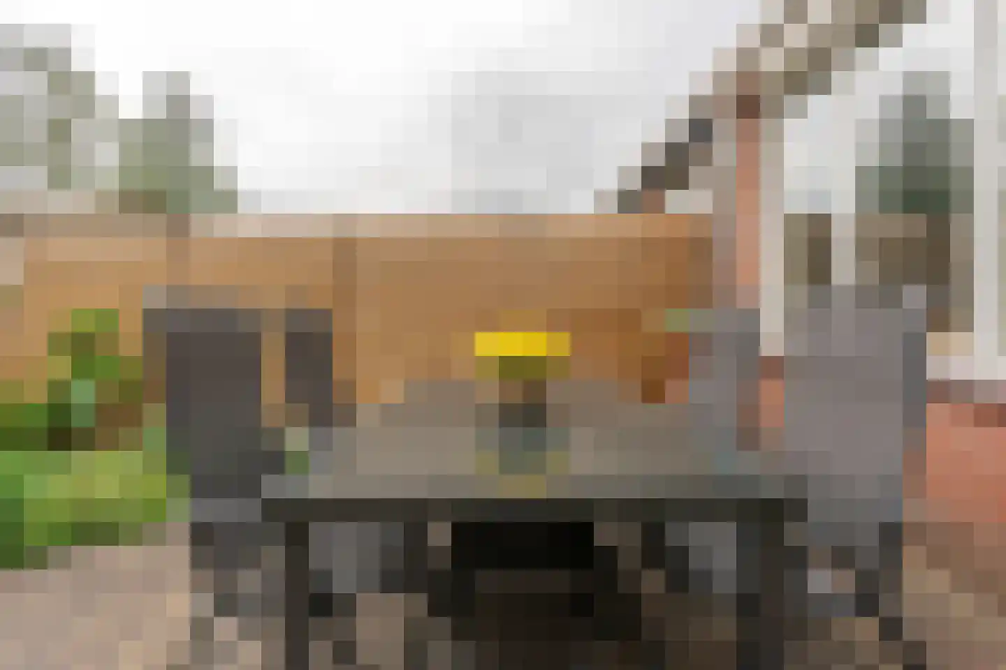 de Akker 65 Lopik thumbnail 28