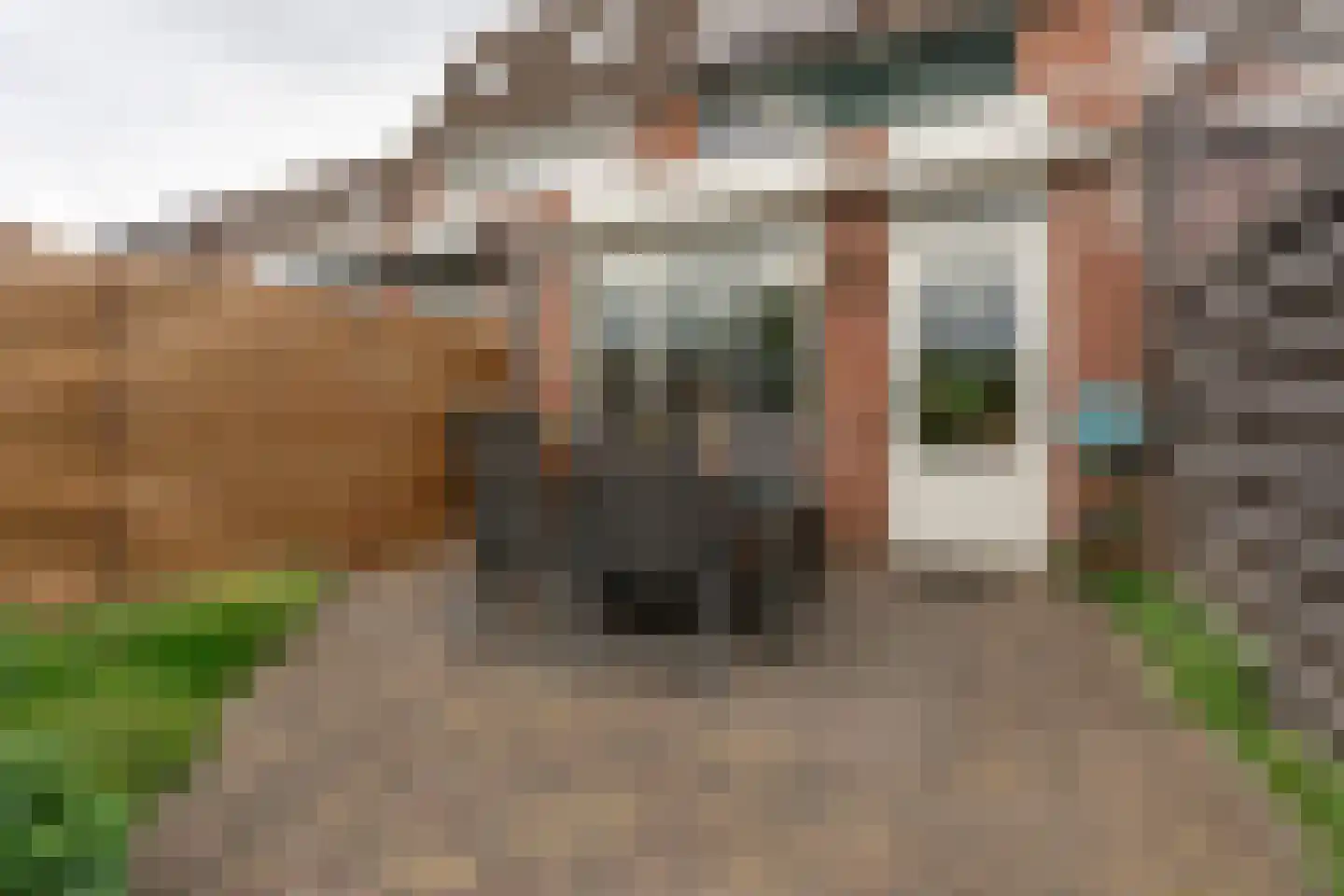 de Akker 65 Lopik thumbnail 29