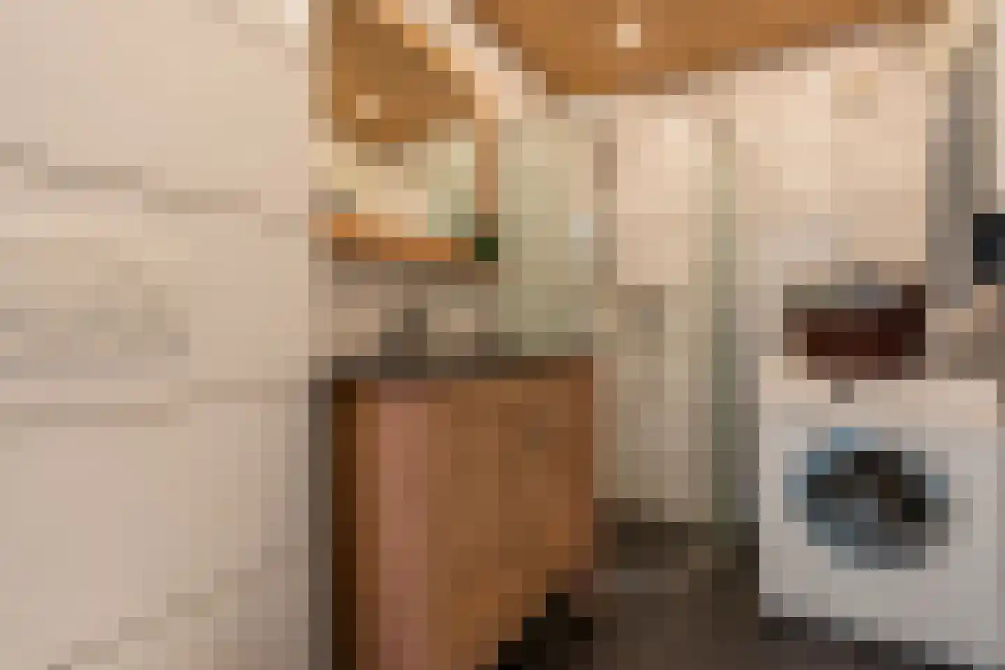 de Akker 65 Lopik thumbnail 47