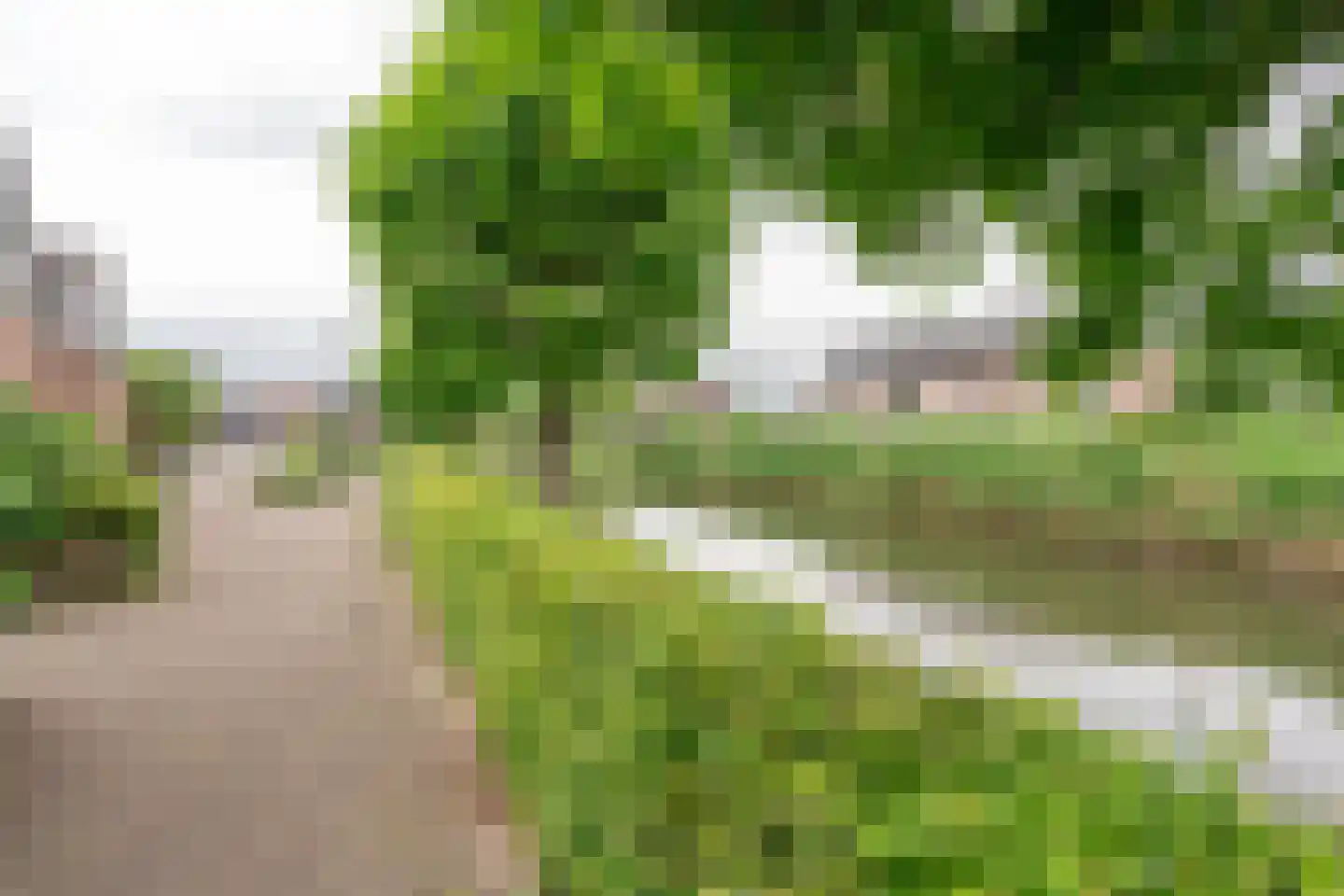de Akker 65 Lopik thumbnail 64
