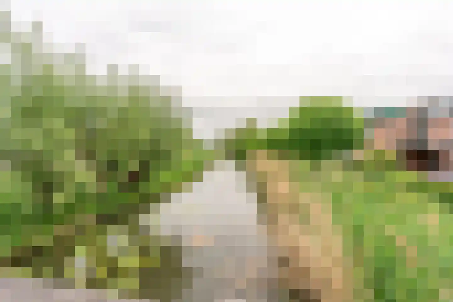 de Akker 65 Lopik thumbnail 65
