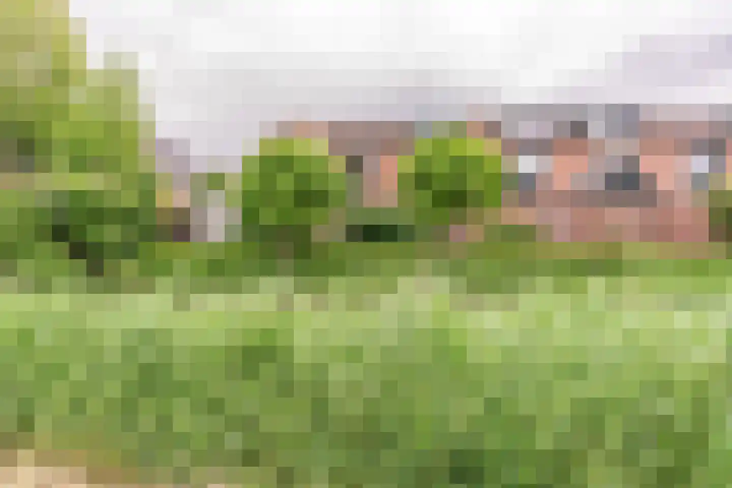 de Akker 65 Lopik thumbnail 66