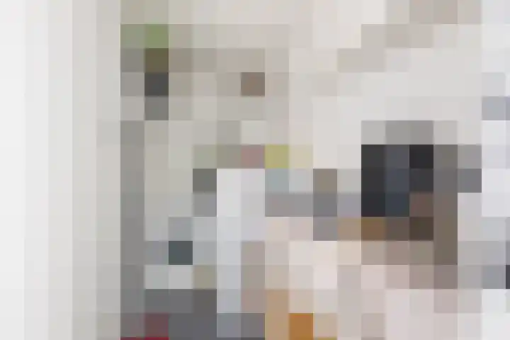 De Akker 7 Oudesluis thumbnail 14