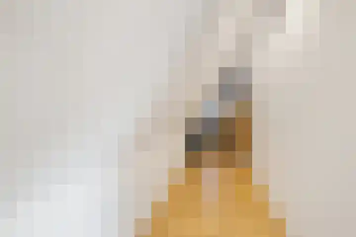De Akker 7 Oudesluis thumbnail 21