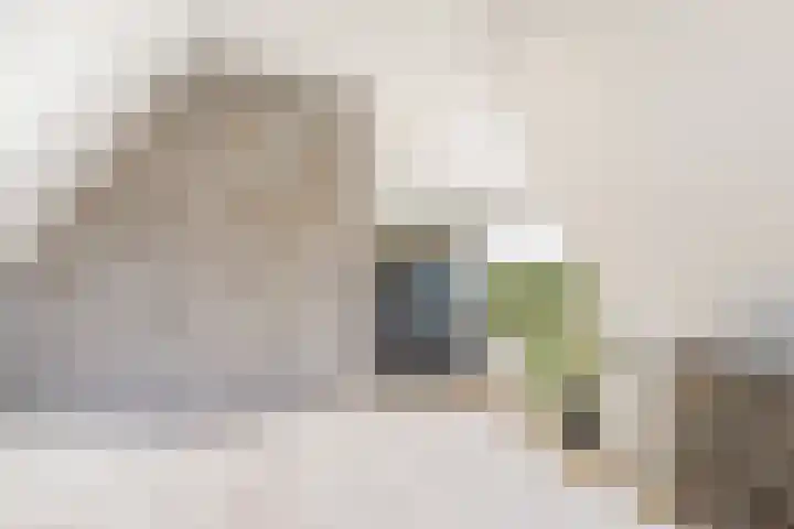 De Akker 7 Oudesluis thumbnail 24