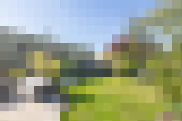 De Akker 7 Oudesluis thumbnail 35