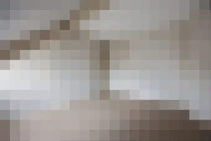 De Akker 74 Vlijmen thumbnail 24