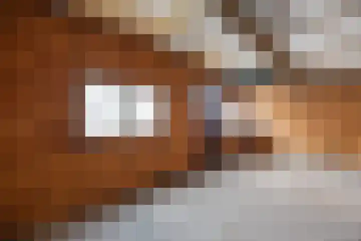 De Akker 74 Vlijmen thumbnail 32