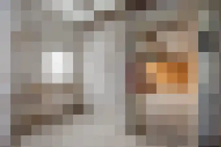 De Akker 74 Vlijmen thumbnail 34