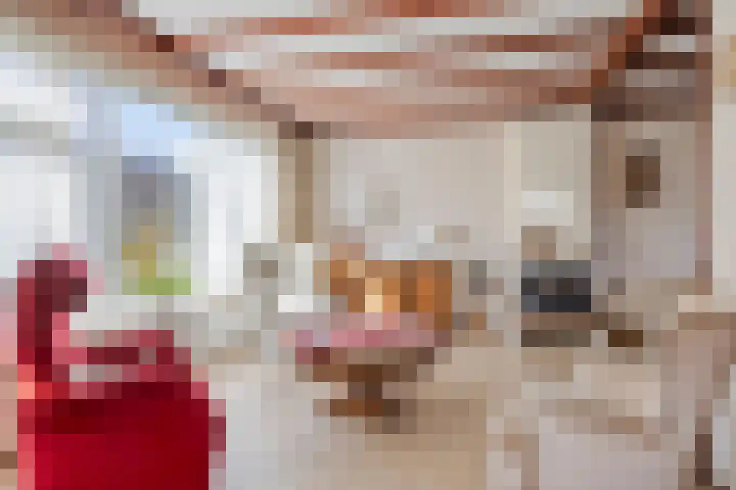 de Akker 8 Haaksbergen thumbnail 10