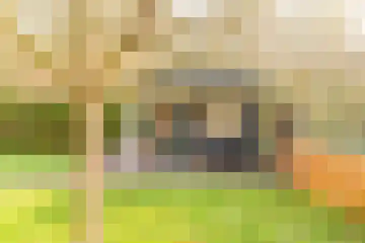 De Akker 9 Ommeren thumbnail 49