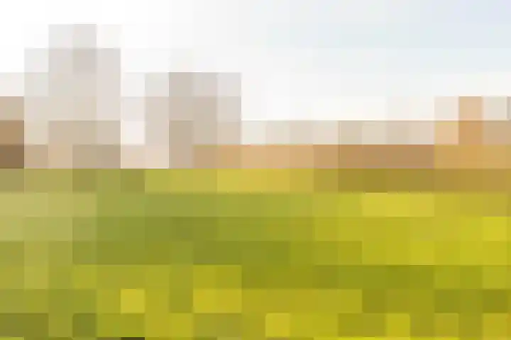 De Akker 9 Ommeren thumbnail 51