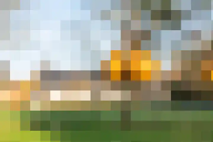 De Akker 9 Ommeren thumbnail 53