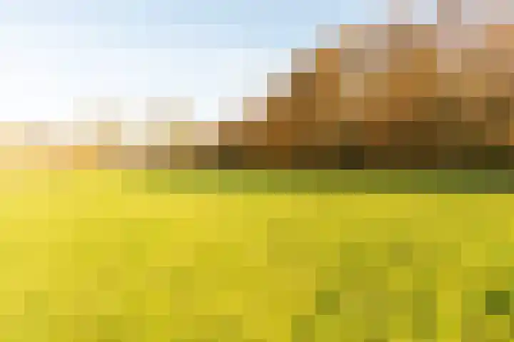De Akker 9 Ommeren thumbnail 54