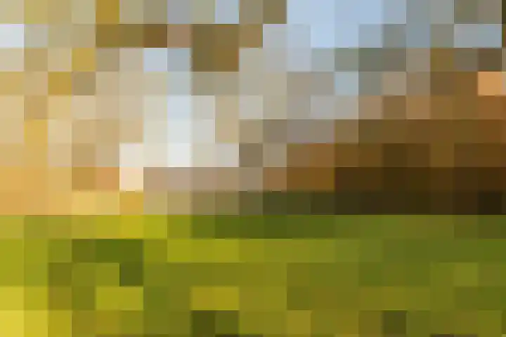 De Akker 9 Ommeren thumbnail 55