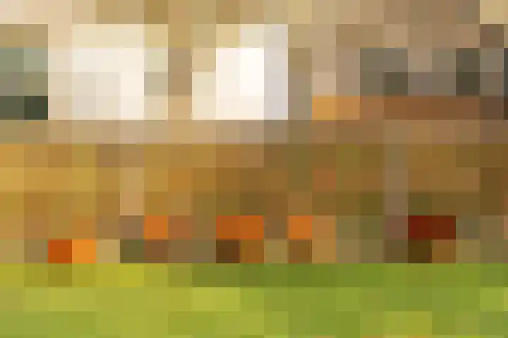 De Akker 9 Ommeren thumbnail 56