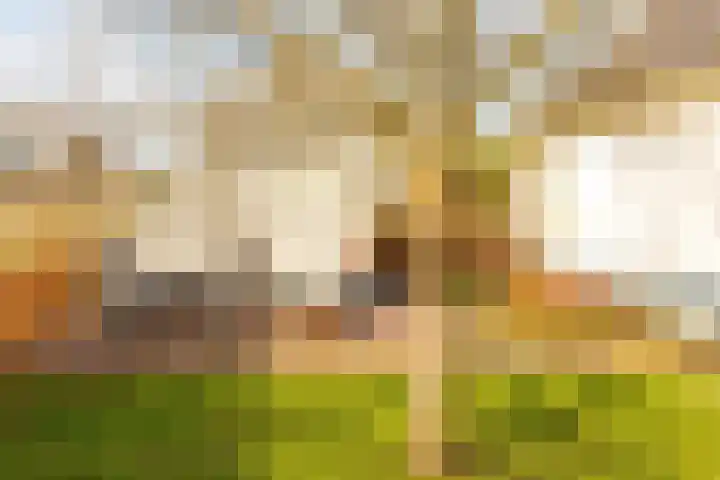 De Akker 9 Ommeren thumbnail 88
