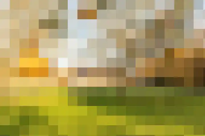 De Akker 9 Ommeren thumbnail 95