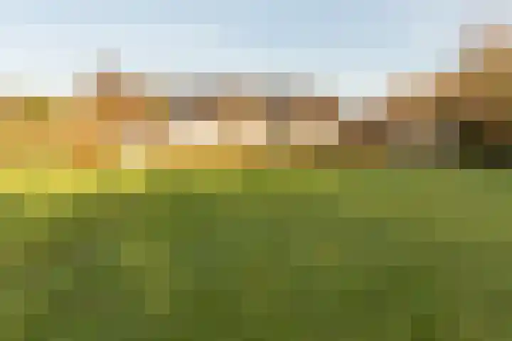 De Akker 9 Ommeren thumbnail 96