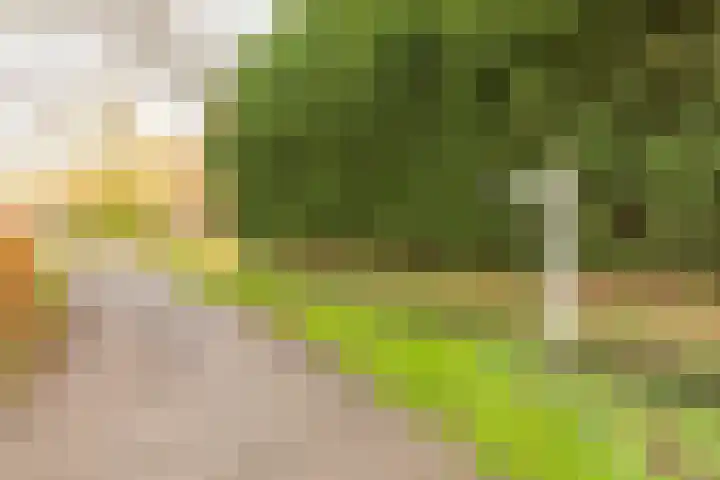 De Akker 9 Ommeren thumbnail 98